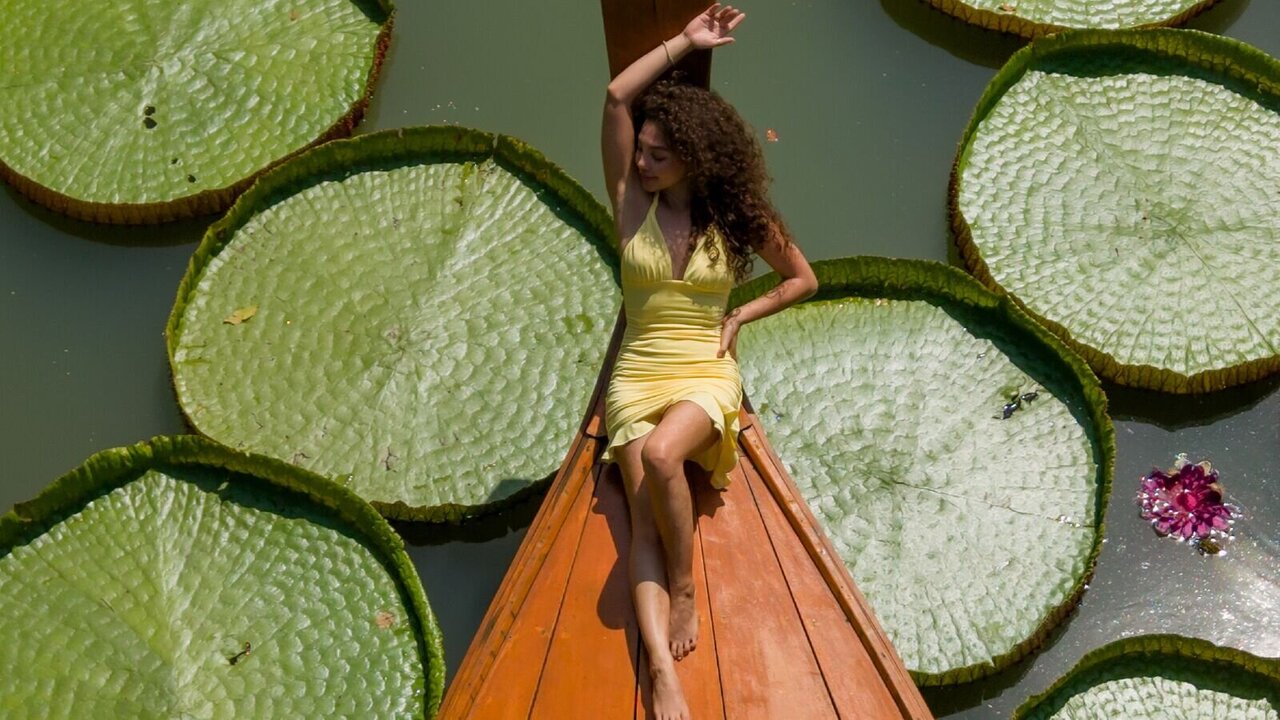 Live Porn Camera of JessicaGate